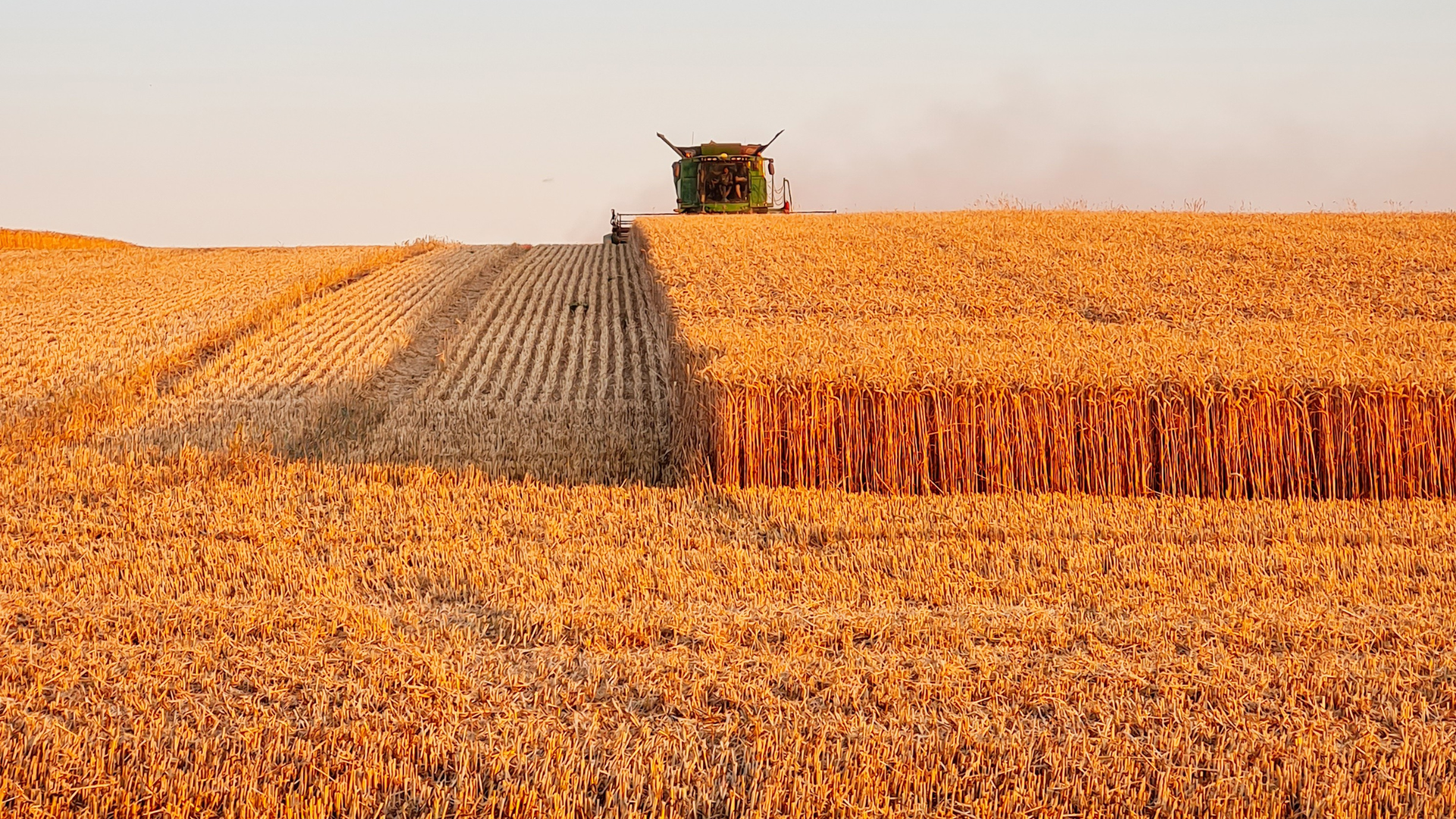 machine champs coupe paille ensilage